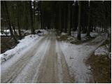 Spodnja Besnica (Ribogojnica) - Špičasti hrib